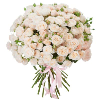 Розы Пионовидные кустовые белые