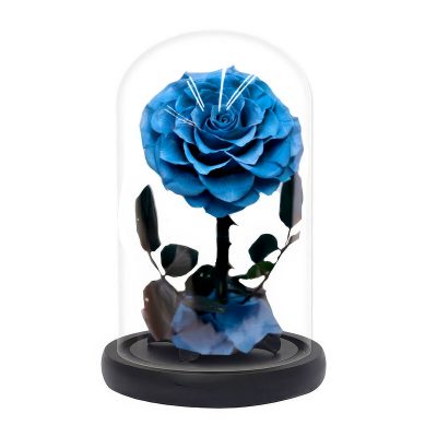 Роза в колбе голубая